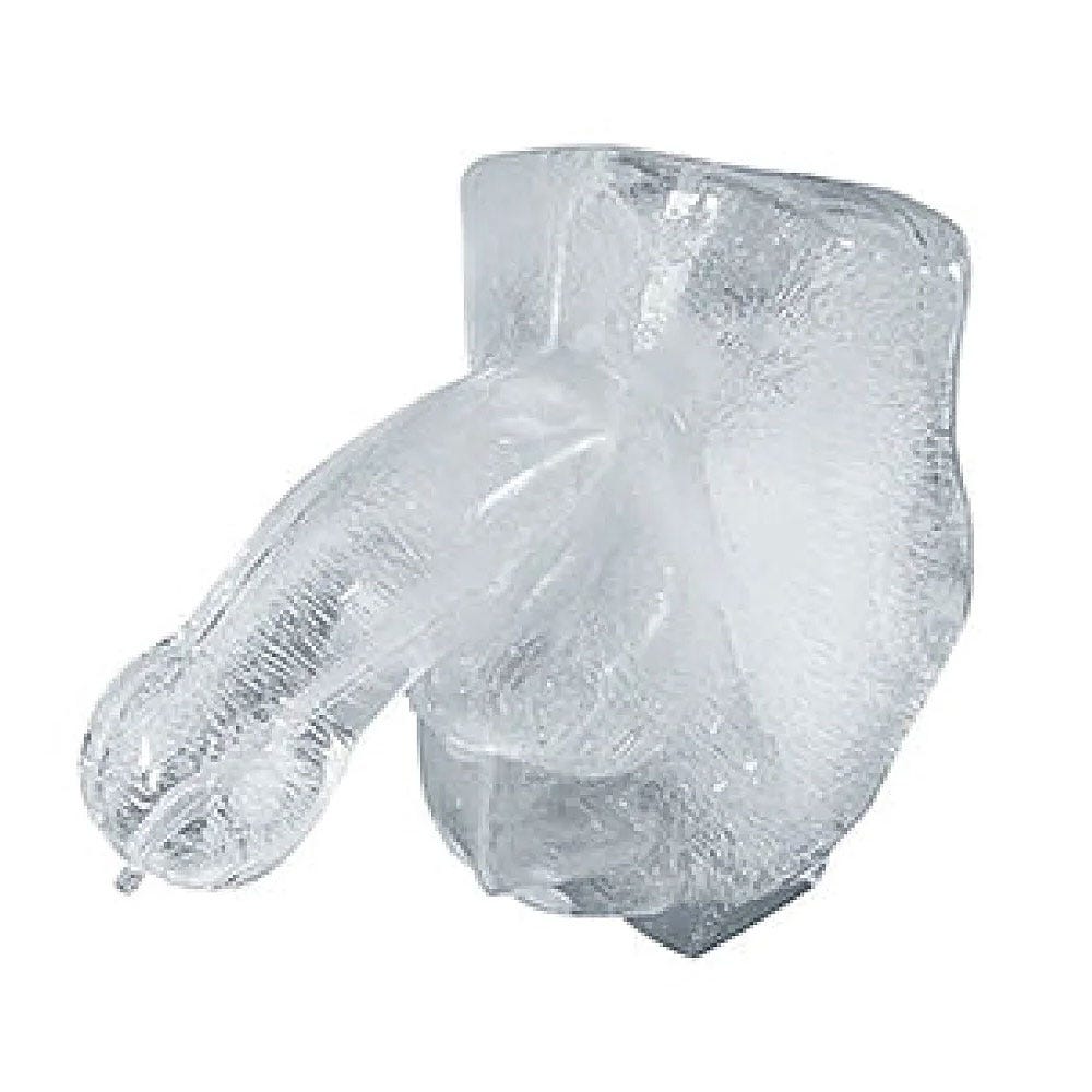 Play Wiv Me Huge Penis Ice Luge Freeze At Home Ice Luge Kit