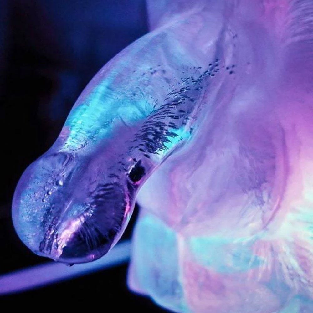 Play Wiv Me Huge Penis Ice Luge Freeze At Home Ice Luge Kit