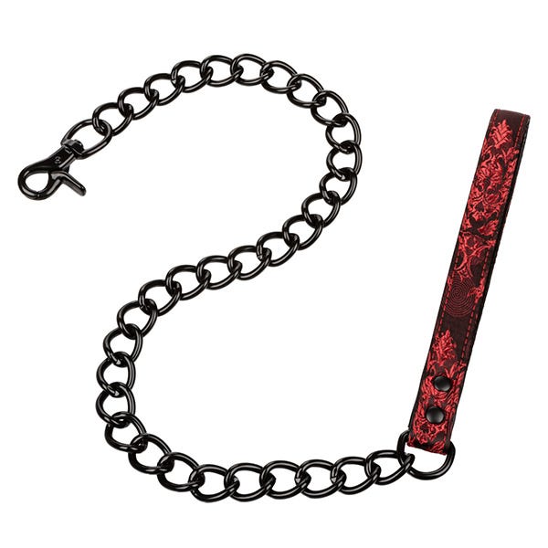 Scandal Collar with Leash