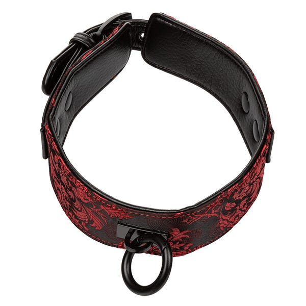 Scandal Collar with Leash