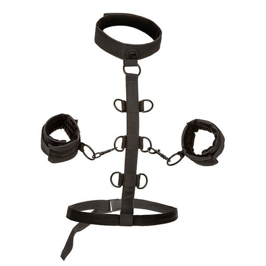 CalExotics Boundless Collar Body Restraint