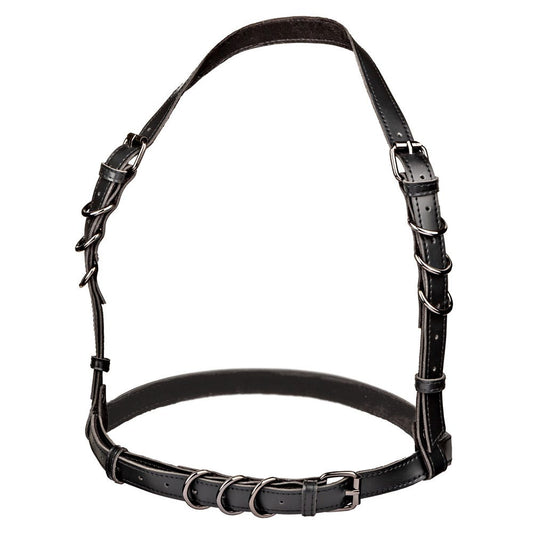 CalExotics Euphoria Collection Halter Buckle Harness