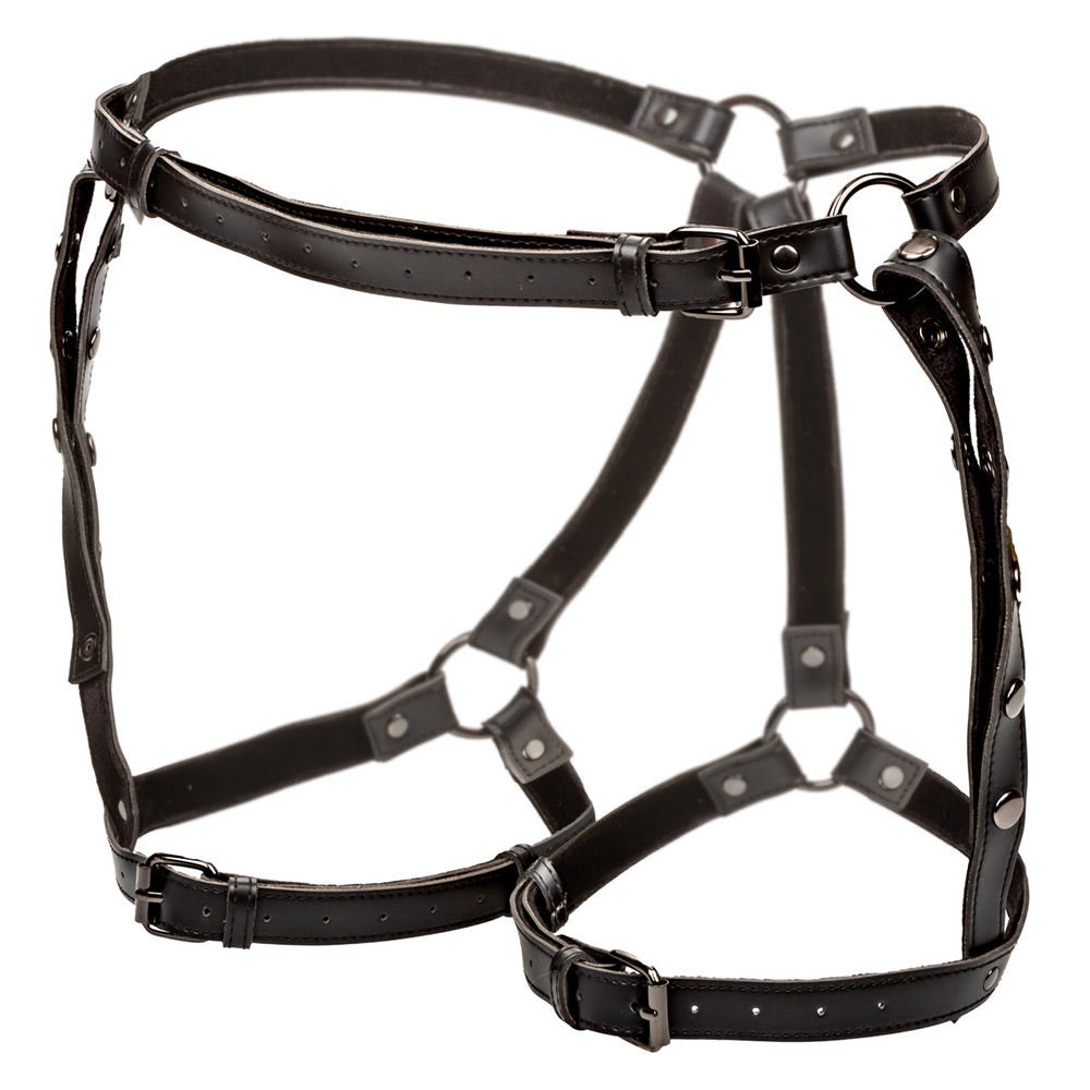 CalExotics Euphoria Collection Riding Thigh Harness