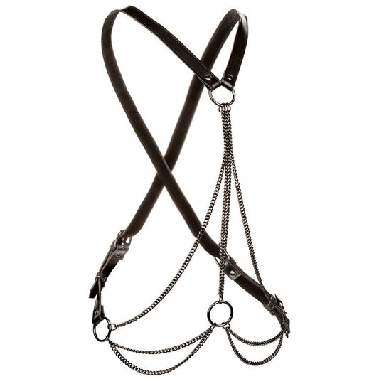 CalExotics Euphoria Collection Multi Chain Harness